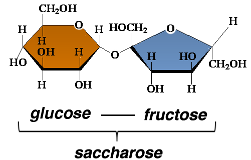 glucose-fructose-saccharose